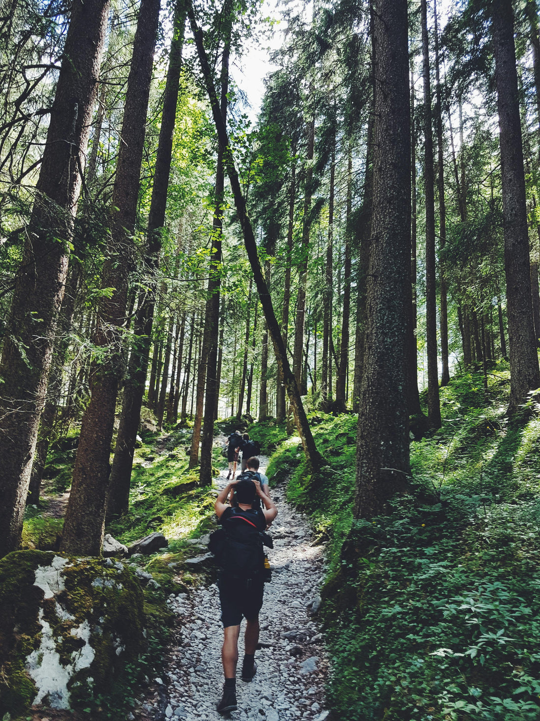 Équipement trail débutant : Les meilleurs conseils pour débuter